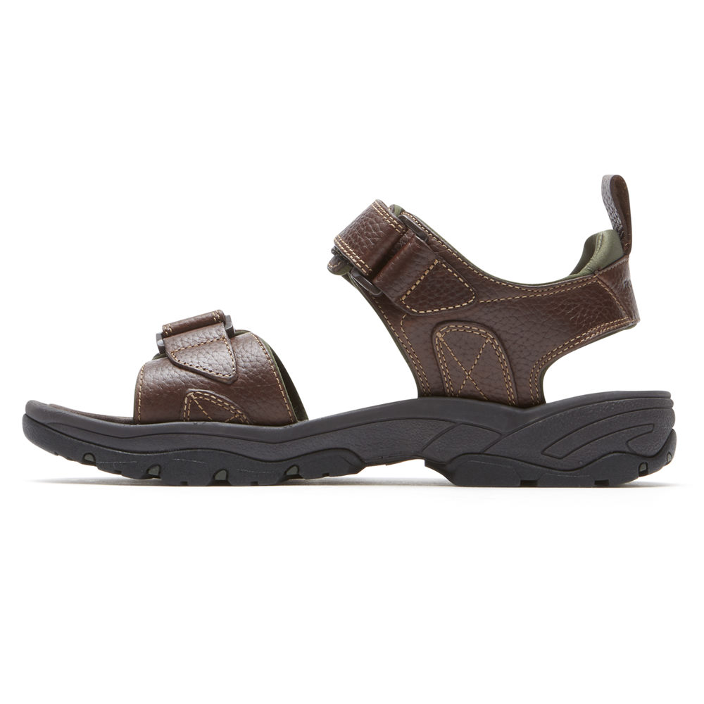 Rockport Sandaler Herre Brune - Springboro Rocklake - VQNY35461